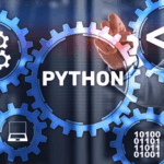 The Ultimate Guide to Outsourcing Python Development: Costs, ROI & Risks
